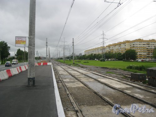 Петергофское шоссе недалеко от пр. Кузнецова. Замена трамвайных рельсов. Фото 8 июля 2016 г.