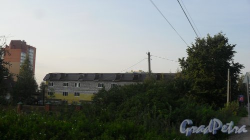 Деревня Кальтино, Колтушское шоссе, дом 11. Строительство таунхаусов. Фото 21 августа 2016 года.