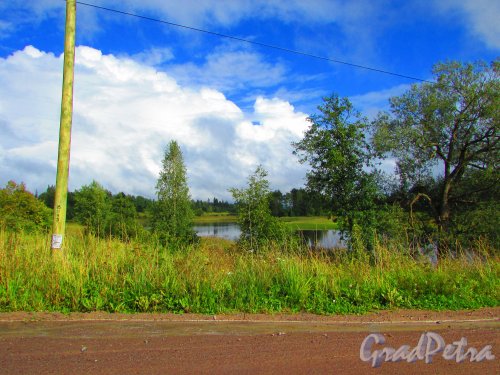 Трасса 41К-153. Разлив ручья Кюлясалменойя недалеко от развалин финского хутора Ollila. Фото 14 августа 2016 года.