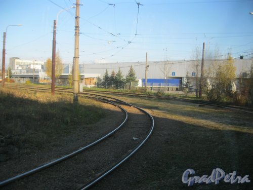 Петергофское шоссе, дом 73, корпус 21. Вид от трамвайного кольца. Фото 20 октября 2016 г.