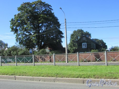 Выборгское шоссе, дом 164 (слева) и дом 166 (справа). Фото 31 августа 2016 года.