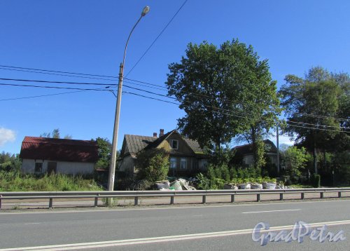 посёлок Парголово, Выборгское шоссе, дом 367. Жилые дома на участке. Фото 31 августа 2016 года.