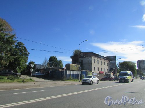 посёлок Парголово, Выборгское шоссе, дом 355. Общий вид участка. Фото 31 августа 2016 года.