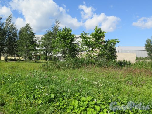 Волхонское шоссе (Красносельский р-н), д. 109. Завод «Радиус». Общий вид. фото август 2015 г.