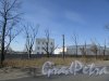 посёлок Шушары, Московское шоссе, дом 82, литера Б. Склады холодного хранения. Фото 7 апреля 2020 г.
