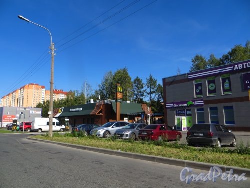 Горелово, Красносельское шоссе, дом 40. Общий вид участка. Фото 20 августа 2015 г.