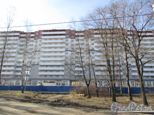 посёлок Шушары, Московское шоссе, дом 244, строение 1. Фрагмент фасада жилого дома. Фото 7 апреля 2020 г.
