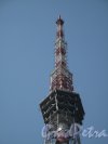 ул. Академика Павлова, д. 3. Телевизионная башня. Вид антенной части телебашни. Фото июль 2010 г. 