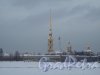 Петропавловская Крепость. Общий вид зимой. Фото январь 2011 г.
