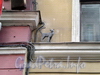 Мини-памятник «кошке Василисе» на доме 3 по Малой Садовой улице. Фото март 2009 г.