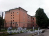 9-я Красноармейская ул., д. 6. Школа №286 Адмиралтейского района. Общий вид здания. Фото июль 2009 г.