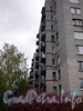 Белградская ул., д. 24. Вид жилого дома с торца. Фото октябрь 2009 г.