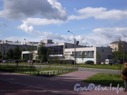Ул. Ленсовета, д. 19, Спортивный комплекс «Волна», общий вид здания. Фото 2008 г.