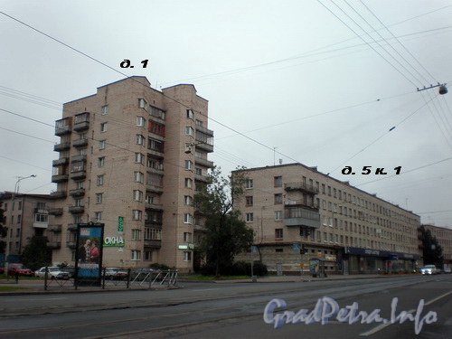 Шепетовская ул., д. 1 и Среднеохтинский пр., д. 3 к. 1, Фото 2008 г.