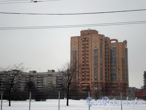 Бухарестская ул., д. 66. Вид от улицы Фучика. Январь 2009 г.