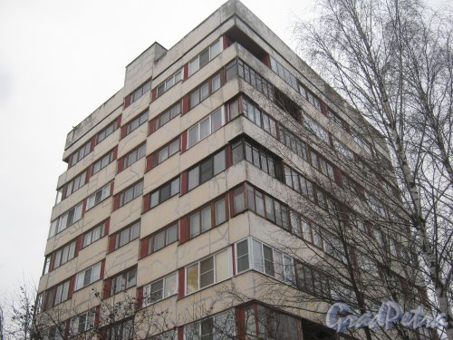 Ул. Лётчика Пилютова, дом 46. Фрагмент здания. Фото 12 января 2014 г.
