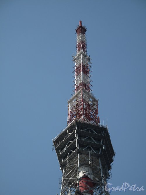 ул. Академика Павлова, д. 3. Телевизионная башня. Вид антенной части телебашни. Фото июль 2010 г. 