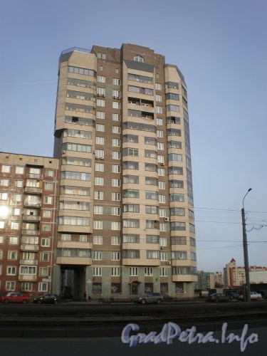 Ул. Веденеева, д. 2. Фасад здания по Тихорецкому проспекту Апрель 2009 г.