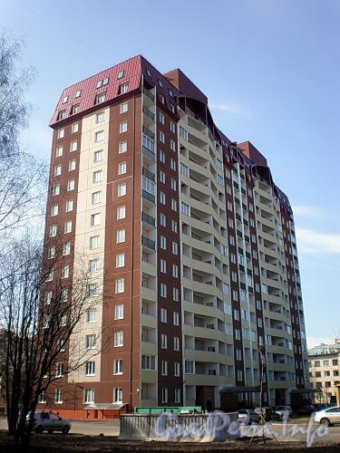 Ул. Дыбенко, д. 21, к. 3, лит. А. Общий вид здания. Фото апрель 2009 г.