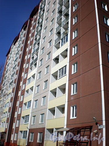 Ул. Дыбенко, д. 21, к. 3, лит. А. Фрагмент фасада. Фото апрель 2009 г.