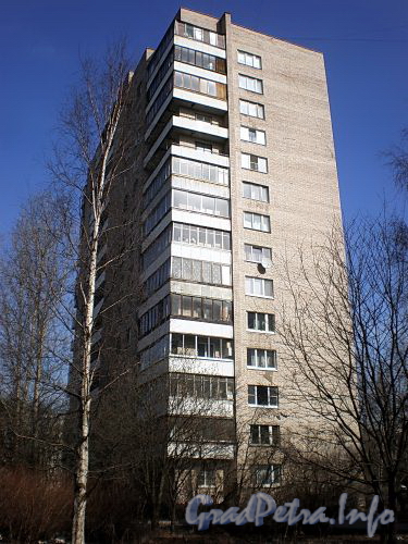 Ул. Дыбенко, д. 25, к. 2. Общий вид здания. Фото апрель 2009 г.