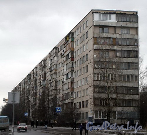 Ул. Бухарестская, д. 67, к. 1. Общий вид жилого дома. Фото март 2009 г.