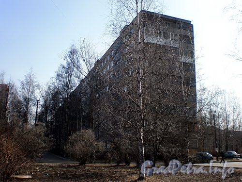 Ул. Дыбенко, д. 25, к. 3 . Общий вид жилого дома. Фото апрель 2009 г.