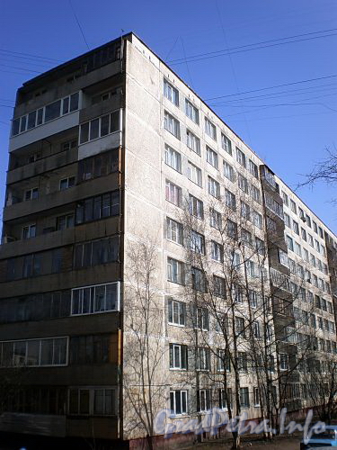 Ул. Дыбенко, д. 25, к. 3 . Фрагмент фасада жилого дома. Фото апрель 2009 г.