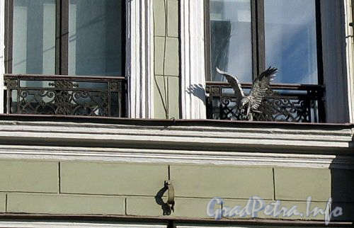 Мал. Морская ул., д. 16. Бывший доходный дом. На фасаде здания. Фото июль 2009 г.
