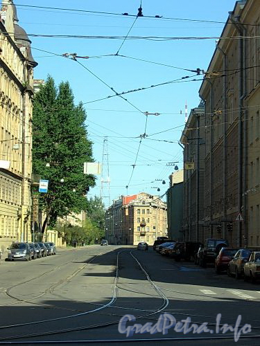 Перспектива улицы Чапаева от улицы Куйбышева в сторону Большой Посадской улицы. Фото август 2009 г.