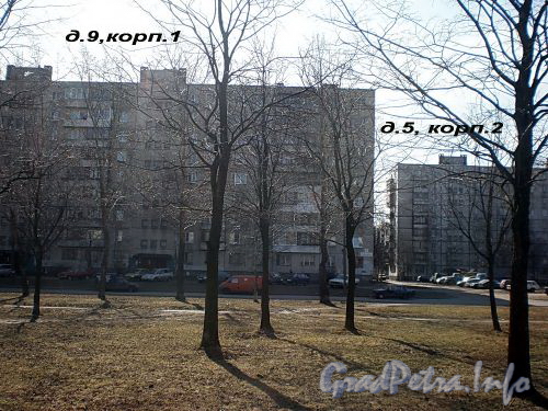 Дома 9, корп.1 и 5, корп. 2 по улице Антонова-Овсеенко. Фото апрель 2009 г.