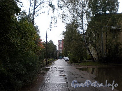 Перспектива улицы Витковского в сторону проспекта Мориса Тореза. Фото октябрь 2009 г.
