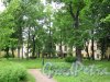 Галерная ул., д. 58-60. Дворец Бобринских. Сад в закрытом дворе. фото июль 2017 г.