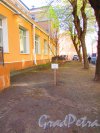 Малая Разночинная улица, дом 2-4, литера А. Дерево Победы. Фото 1 мая 2016 года.
