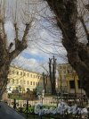 Захарьевская ул., д. 14. Вид дворового сквера с фонтаном. фото апрель 2018 г.