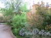 Ул. Жуковского, д. 31. Двор. Скверик у ограды 2-го двора. фото май 2018 г