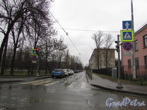 Перспектива улицы Ольги Берггольц от улицы Седова в сторону улицы Бабушкина. Фото 16 февраля 2020 г.
