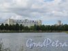 Разводная ул. (Петергоф). Вид застройки вокруг Колонистского парка вдоль Самсониевского водовода. фото август 2018 г.
