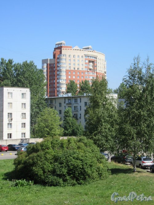 Ленинский проспект, дом 147. Жилые дома на участке. Вид из окна Больницы №26. фото август 2018 г.