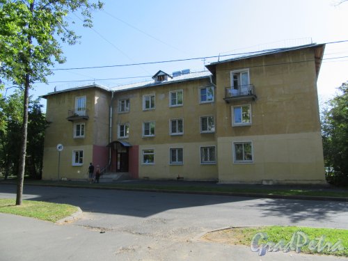Владимирская ул. (Ломоносов), д. 24. 3-х этажнй жилой кирпичный дом, 1950-е. Общий вид фасада со стороны входа. фото август 2018 г.