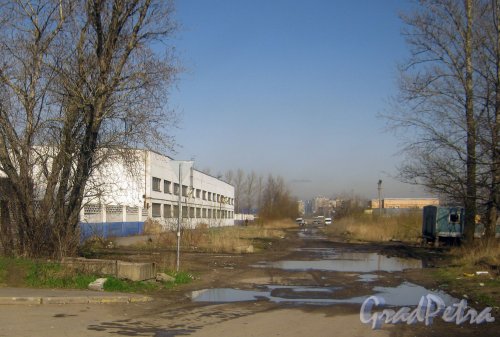 Авиагородок. Домодедовская ул. Перспектива от улицы Пилотов в сторону Штурманской улицы. Фото апрель 2012 г.