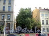 Сквер между домами 17 и 19 по Захарьевской улице. Фото июль 2010 г.