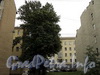 Лакуна между домами 19 и 23 по Астраханской улице. Фото август 2010 г.