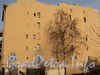 Ул. Блохина, д. 22. Вид из сквера Князь-Владимирского собора. Фото апрель 2011 г.
