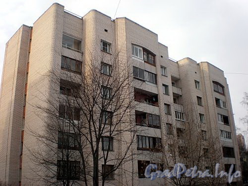Енотаевская ул., д. 10, корп. 2. Фасад жилого дома. Вид со двора. Фото апрель 2010 г.
