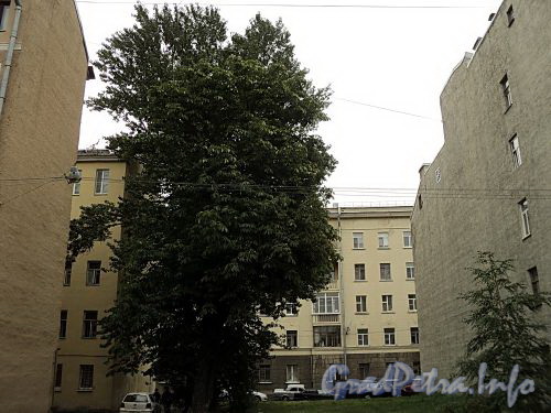 Лакуна между домами 19 и 23 по Астраханской улице. Фото август 2010 г.