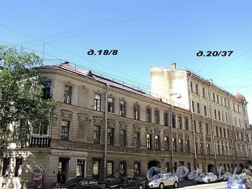 Дома 18/8 и 20/37 по улице Радищева. Фото июль 2010 г.