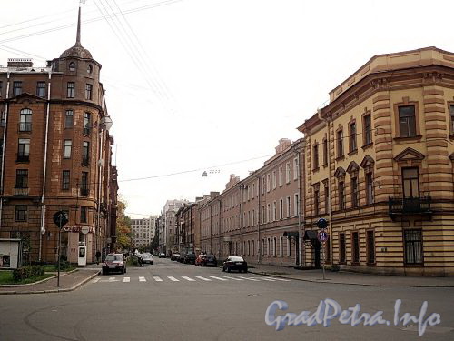 Перспектива Мичуринской улицы от Малой Посадской улицы в сторону улицы Куйбышева. Фото октябрь 2010 г.