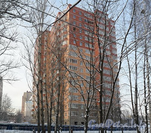 Ул. Ушинского, д. 33. Строительство нового жилого дома. Фото февраль 2011 г.