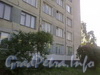 Бухарестская ул., д. 39 корпус 1. Фрагмент фасада жилого дома. Фото 2011 г.